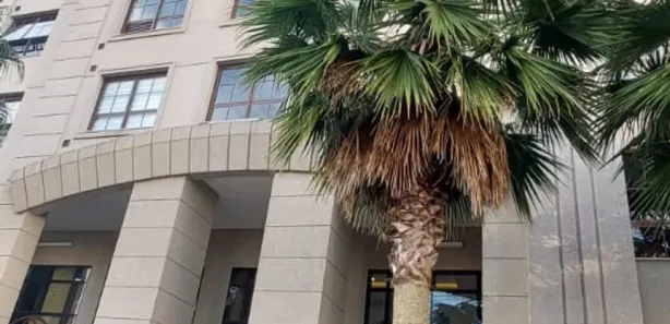 Conjunto Comercial / Sala para alugar, 33m² no Cristo Rei, Curitiba