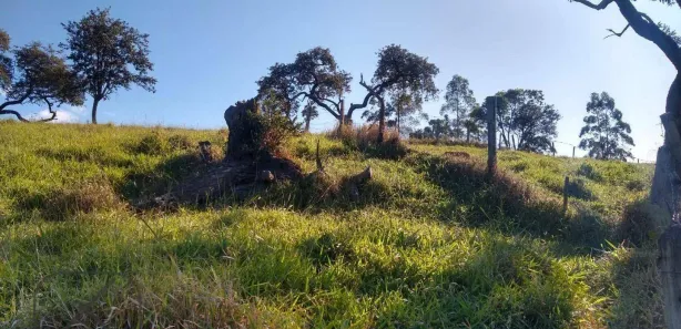 Fazenda / Sítio / Chácara com 4 Quartos à venda, 140m² no Freguesia da Escada, Guararema