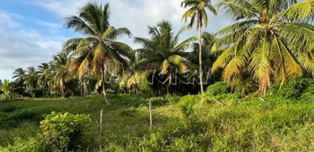 Terreno / Lote / Condomínio à venda, 42000m² no Centro, Barra dos Coqueiros