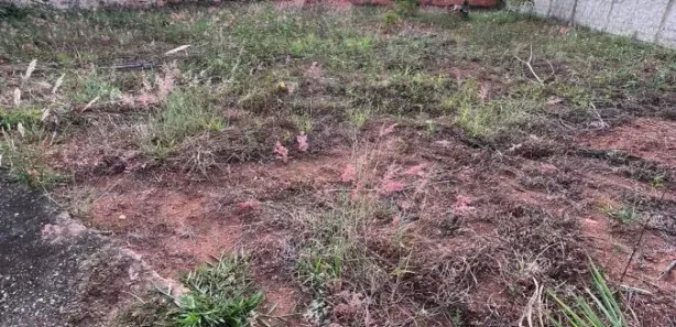 Terreno / Lote / Condomínio à venda, 800m² no Setor Habitacional Vicente Pires - Trecho 3, Brasília