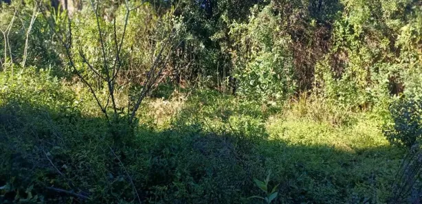Fazenda / Sítio / Chácara à venda, 1922m² no Jardim Amélia, Pinhais