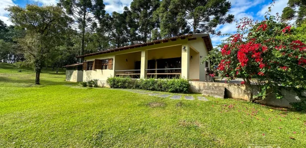 Fazenda / Sítio / Chácara com 2 Quartos à venda, 5999m² no Salgadinho, Campo Largo