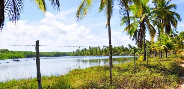 Terreno / Lote / Condomínio à venda, 60000m² no Canavieiras, Canavieiras