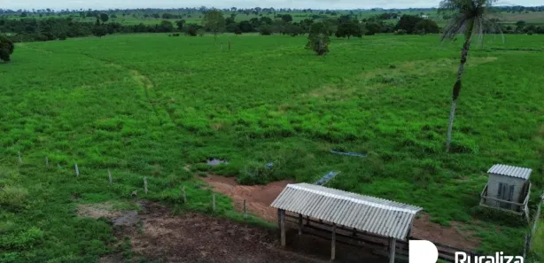 Fazenda / Sítio / Chácara à venda, 1016m² no , Arapoema