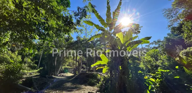 Fazenda / Sítio / Chácara com 3 Quartos à venda, 145200m² no Xerém, Duque de Caxias