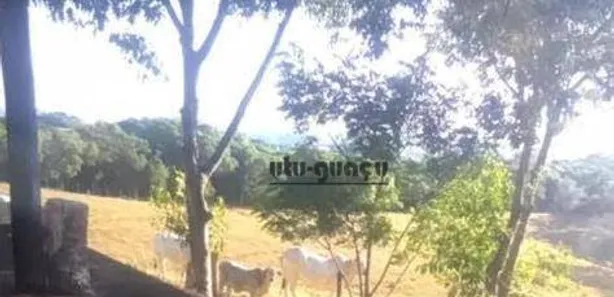 Fazenda / Sítio / Chácara à venda, 363000m² no Fundão, Alambari