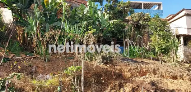 Terreno / Lote Comercial à venda, 275m² no Santa Maria, Vespasiano