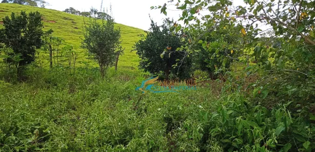 Fazenda / Sítio / Chácara com 2 Quartos à venda, 50762m² no , Catanduvas