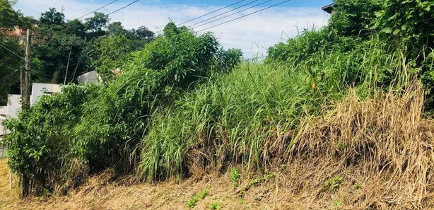 Terreno / Lote / Condomínio à venda, 449m² no Escola Agrícola, Blumenau