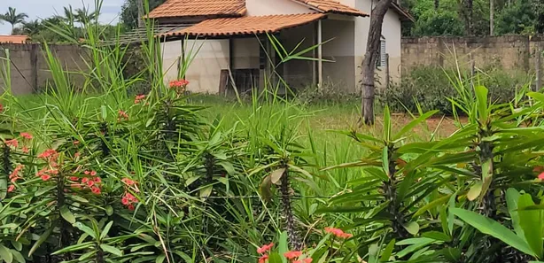 Fazenda / Sítio / Chácara com 3 Quartos à venda, 20000m² no , Brasília