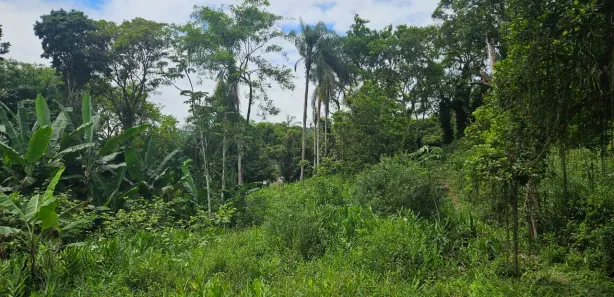 Terreno / Lote / Condomínio à venda, 900m² no Antonina, Antonina
