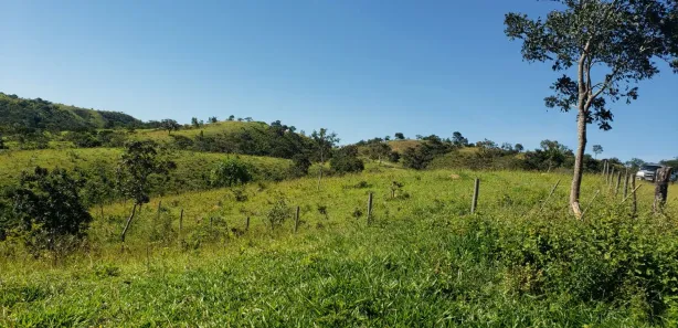 Fazenda / Sítio / Chácara com 4 Quartos à venda, 550000m² no Padre Bernardo, Padre Bernardo