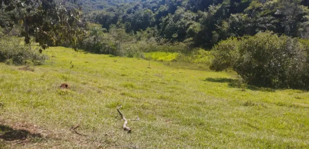 Terreno / Lote / Condomínio à venda, 90000m² no , Cláudio
