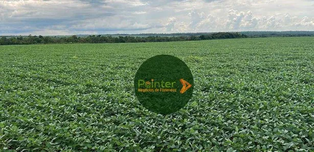 Fazenda / Sítio / Chácara à venda, 5030000m² no , Pedro Afonso