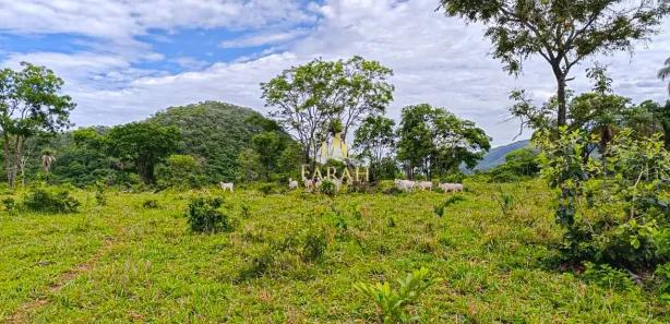Fazenda / Sítio / Chácara com 2 Quartos à venda, 3388000m² no Área Rural de Formosa, Formosa