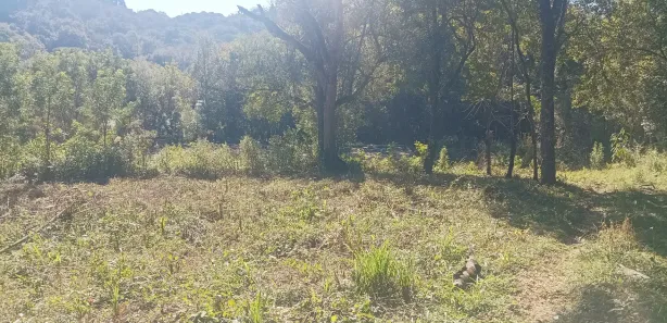Terreno / Lote / Condomínio à venda, 4451m² no Jardim Boa Vista, Campo Magro
