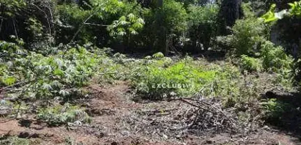 Terreno / Lote / Condomínio à venda, 1200m² no Chácara Ipês, Caçapava