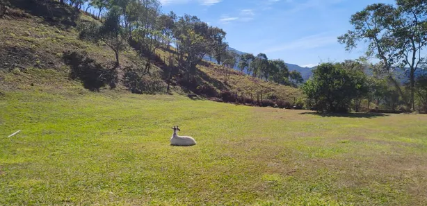 Fazenda / Sítio / Chácara com 1 Quarto à venda, 122569m² no Visconde de Mauá, Resende