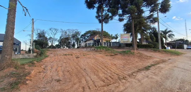 Terreno / Lote / Condomínio à venda, 3940m² no Centro, Campo Magro