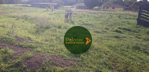 Fazenda / Sítio / Chácara à venda, 12387375m² no Área Rural de Gurupi, Gurupi