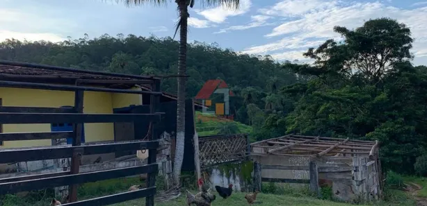Fazenda / Sítio / Chácara com 4 Quartos para alugar, 10m² no , Caeté