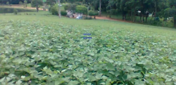 Fazenda / Sítio / Chácara com 1 Quarto à venda, 12000m² no , Contenda