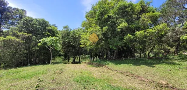 Fazenda / Sítio / Chácara com 1 Quarto à venda, 29519m² no , Tijucas do Sul