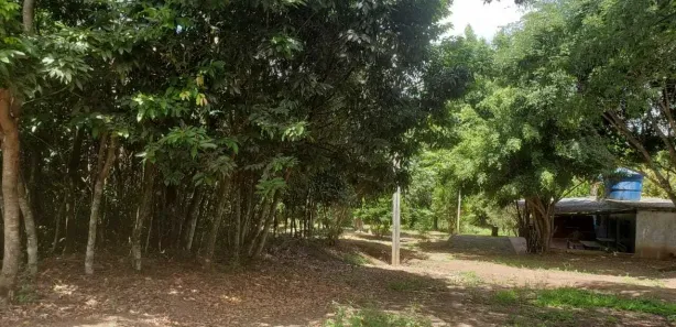 Fazenda / Sítio / Chácara com 3 Quartos à venda, 3000m² no Caracóis de Baixo, Esmeraldas