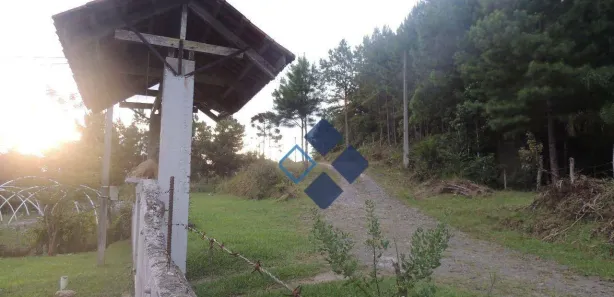 Fazenda / Sítio / Chácara com 4 Quartos à venda, 190m² no , Tijucas do Sul