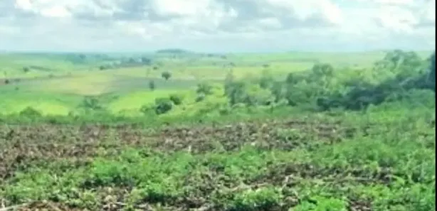 Fazenda / Sítio / Chácara à venda, 1360000m² no Centro, Nossa Senhora das Dores