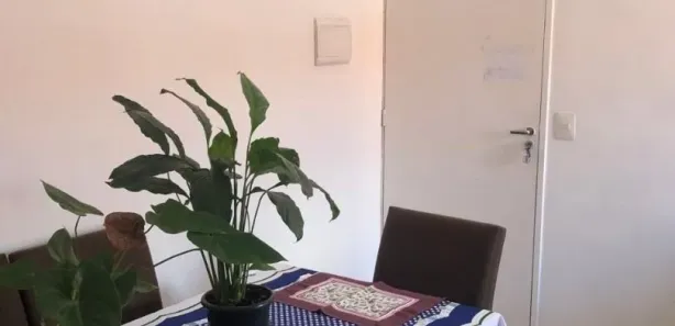 Apartamento com 2 Quartos à venda, 52m² no Vila São Carlos, Itaquaquecetuba
