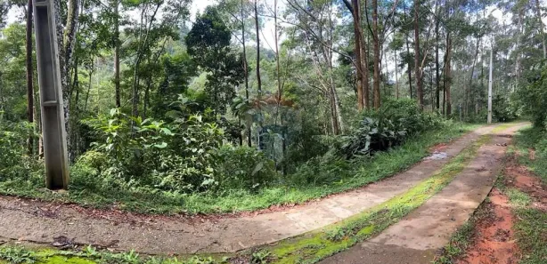 Terreno / Lote / Condomínio à venda, 2530m² no Quarteirão Ingelheim, Petrópolis