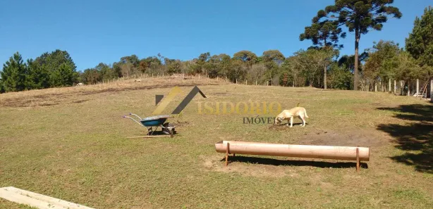 Fazenda / Sítio / Chácara à venda, 13698m² no Capivari, Colombo