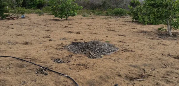 Fazenda / Sítio / Chácara com 3 Quartos à venda, 50m² no , Vera Cruz