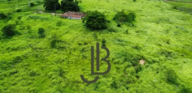 Fazenda / Sítio / Chácara com 2 Quartos à venda, 100m² no Centro, Pilar