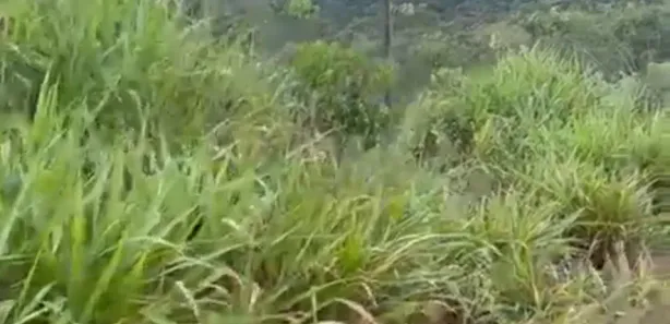 Fazenda / Sítio / Chácara à venda, 20000m² no Área Rural de Águas Lindas de Goiás, Águas Lindas de Goiás