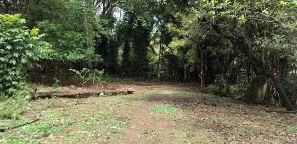 Terreno / Lote / Condomínio à venda, 17438m² no Colônia Santo Antônio, Barra Mansa