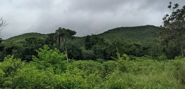 Fazenda / Sítio / Chácara à venda, 1m² no , Paranã