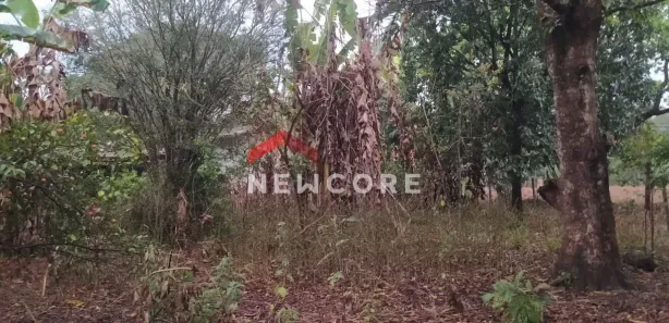 Terreno / Lote / Condomínio à venda, 716m² no Fidalgo, Pedro Leopoldo