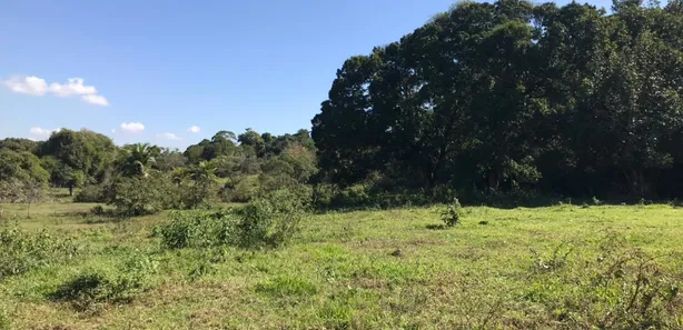 Fazenda / Sítio / Chácara com 3 Quartos à venda, 165000m² no Papucaia, Cachoeiras de Macacu