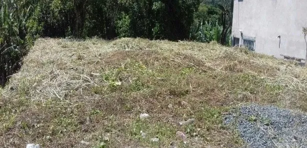 Terreno / Lote / Condomínio à venda, 990m² no Rocio Pequeno, São Francisco do Sul