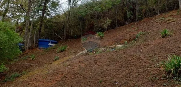 Casa com 3 Quartos à venda, 267m² no São Pedro da Serra, Nova Friburgo