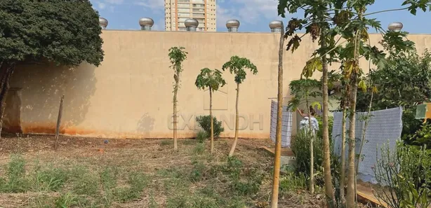 Loja / Salão / Ponto Comercial com 3 Quartos à venda, 269m² no Centro, Sertãozinho