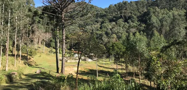Fazenda / Sítio / Chácara à venda, 919600000m² no , Rio Branco do Sul