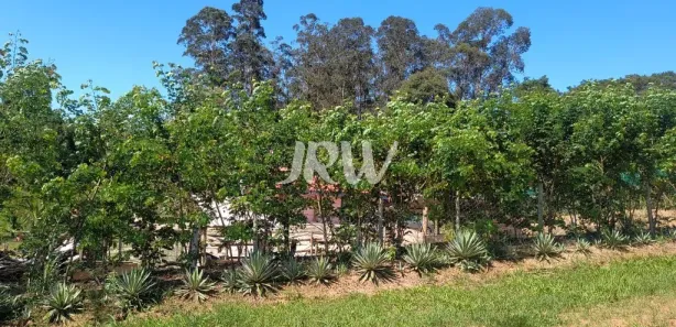 Fazenda / Sítio / Chácara com 5 Quartos à venda, 1080m² no Buru, Salto