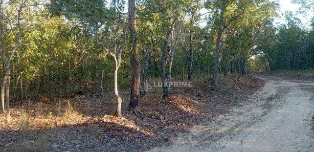 Fazenda / Sítio / Chácara à venda, 1190278m² no Jardim Brasilia I, Ponte Alta do Tocantins
