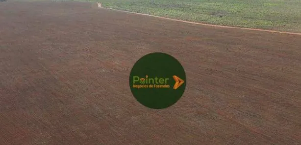 Fazenda / Sítio / Chácara à venda, 100000m² no , Pedro Afonso
