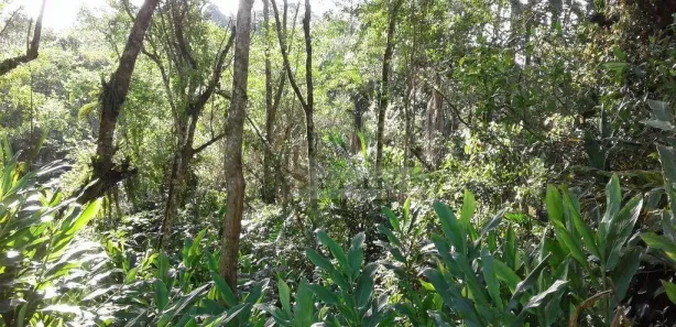 Terreno / Lote / Condomínio à venda, 10m² no Parque Rio Grande, Rio Grande da Serra