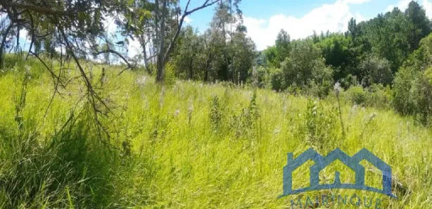 Terreno / Lote / Condomínio à venda, 2800m² no Saboó, São Roque