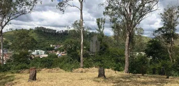 Terreno / Lote / Condomínio à venda, 1150m² no Colônia Santo Antônio, Barra Mansa